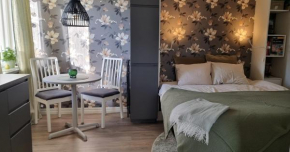Mysig 1a med Minispa, 20 min från Kinnekulle OBS att frukost, sänglinne och handdukar ej ingår